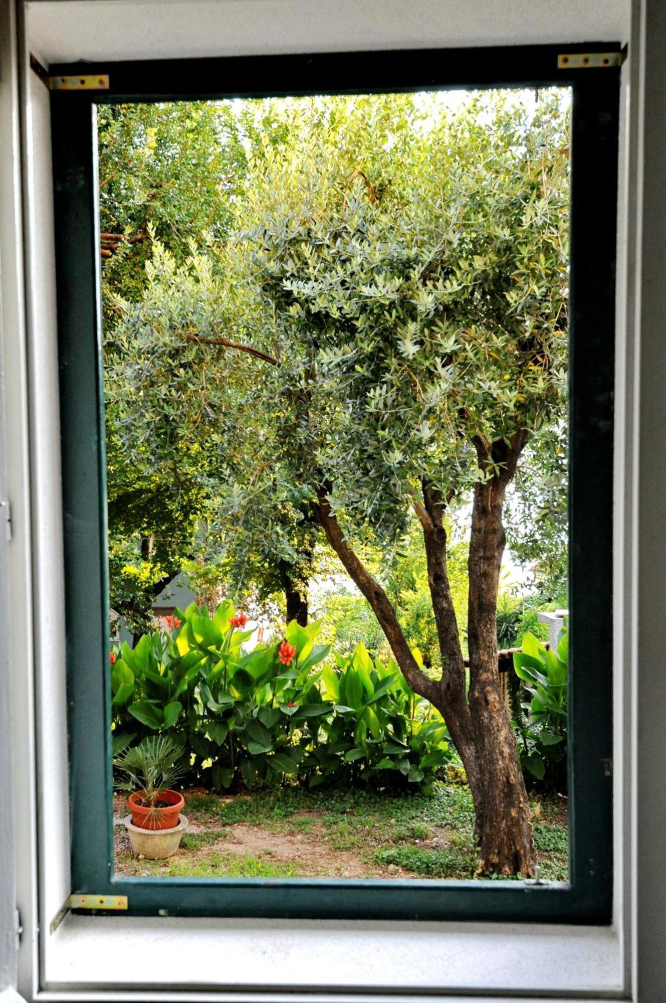 Apartments Kriva Ulica コトル 部屋 写真